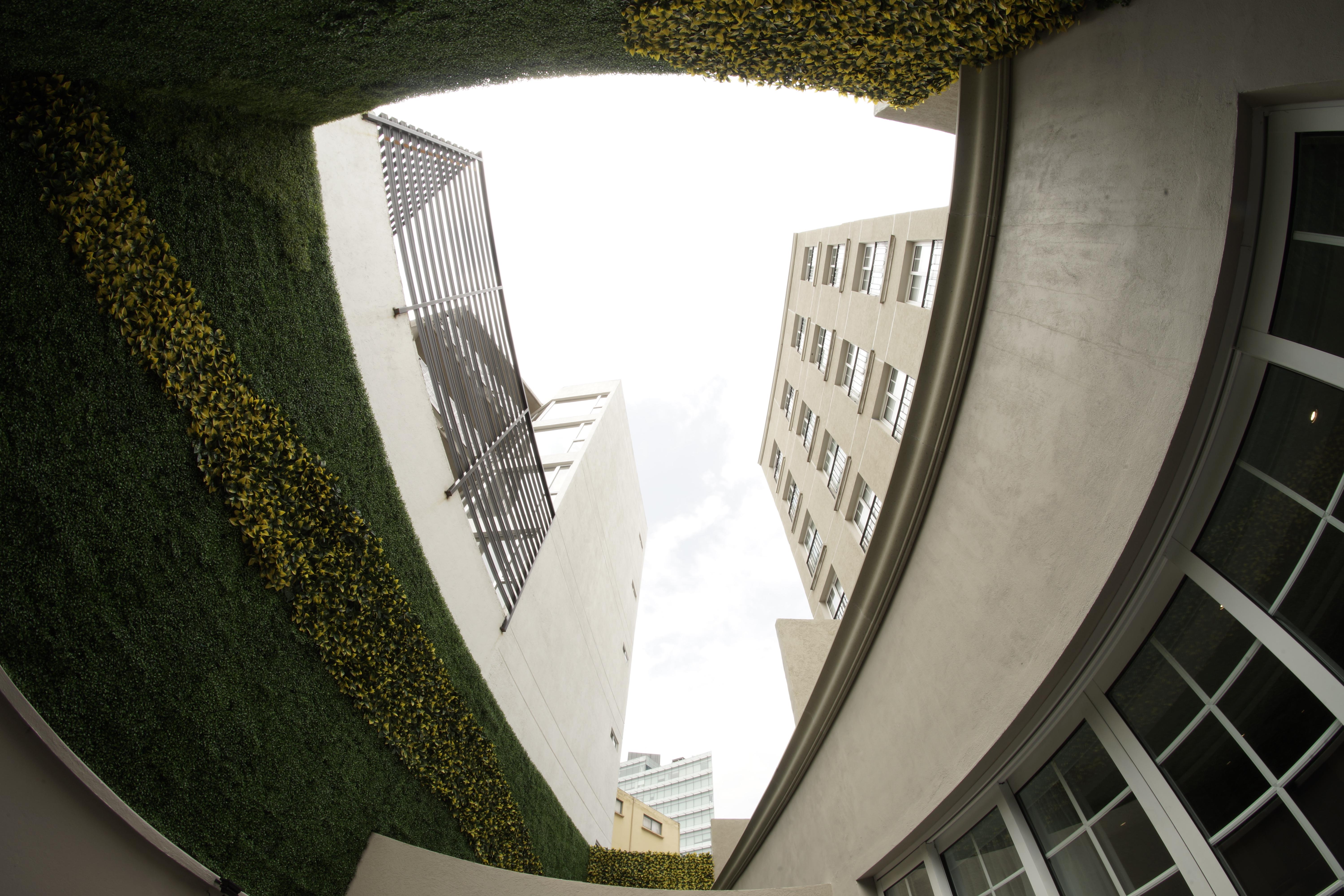 מקסיקו סיטי Isaaya Hotel Boutique By Wtc מראה חיצוני תמונה